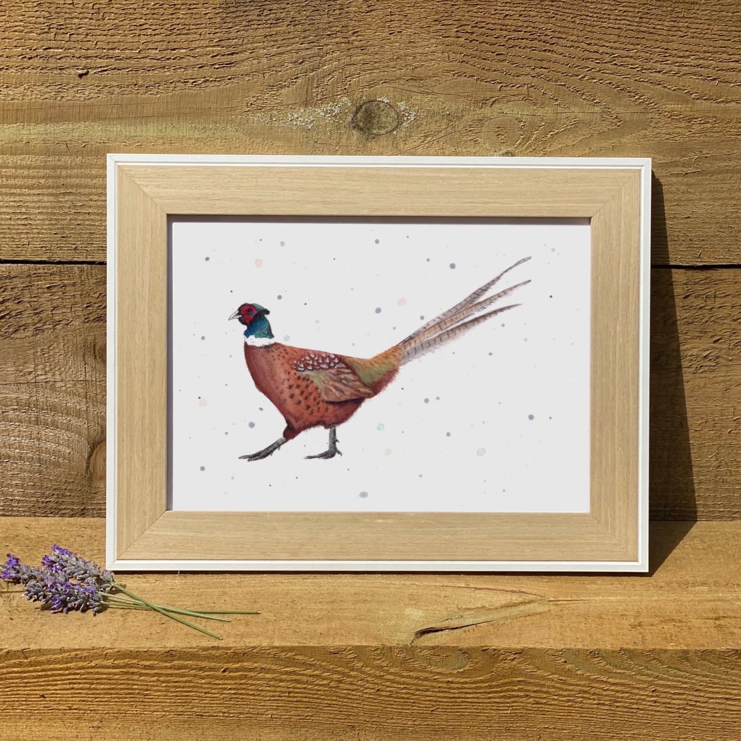 Pheasant print