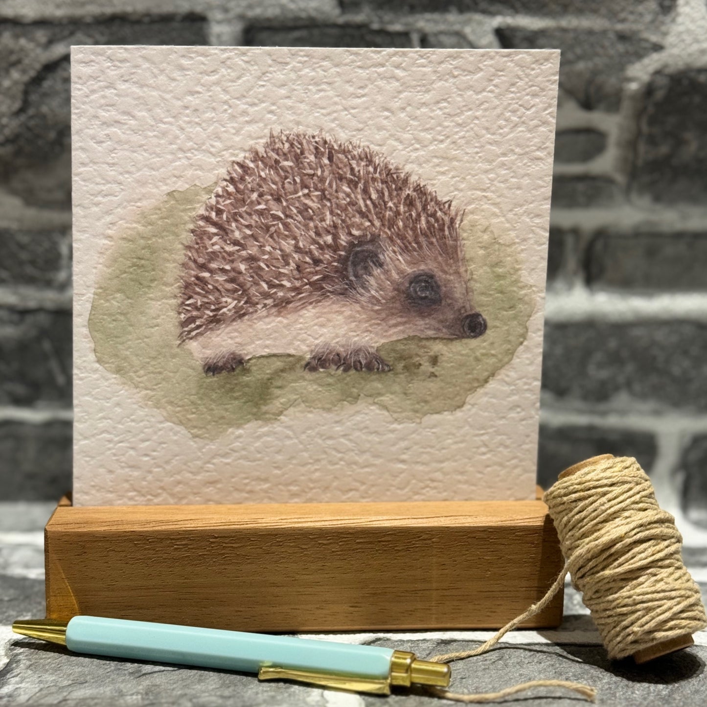Hedgehog greetings card