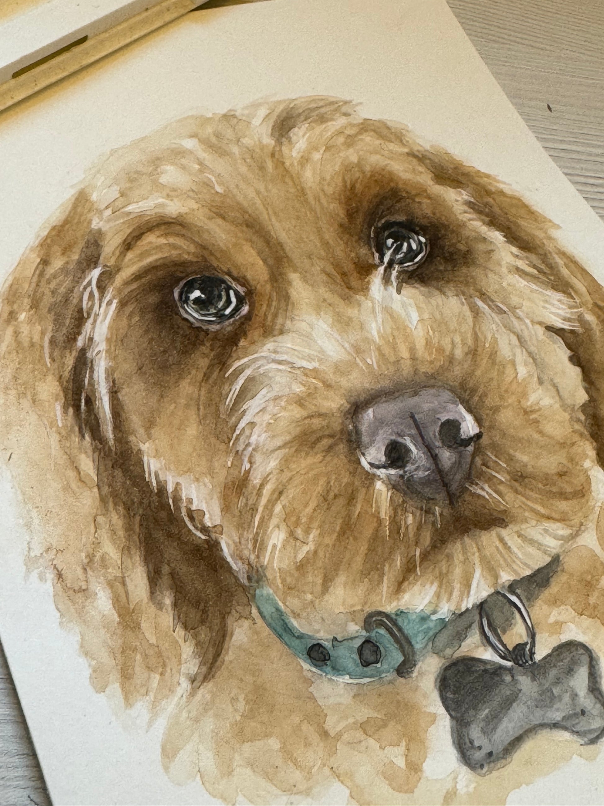 Orignal watercolour painting of a cockapoo dog