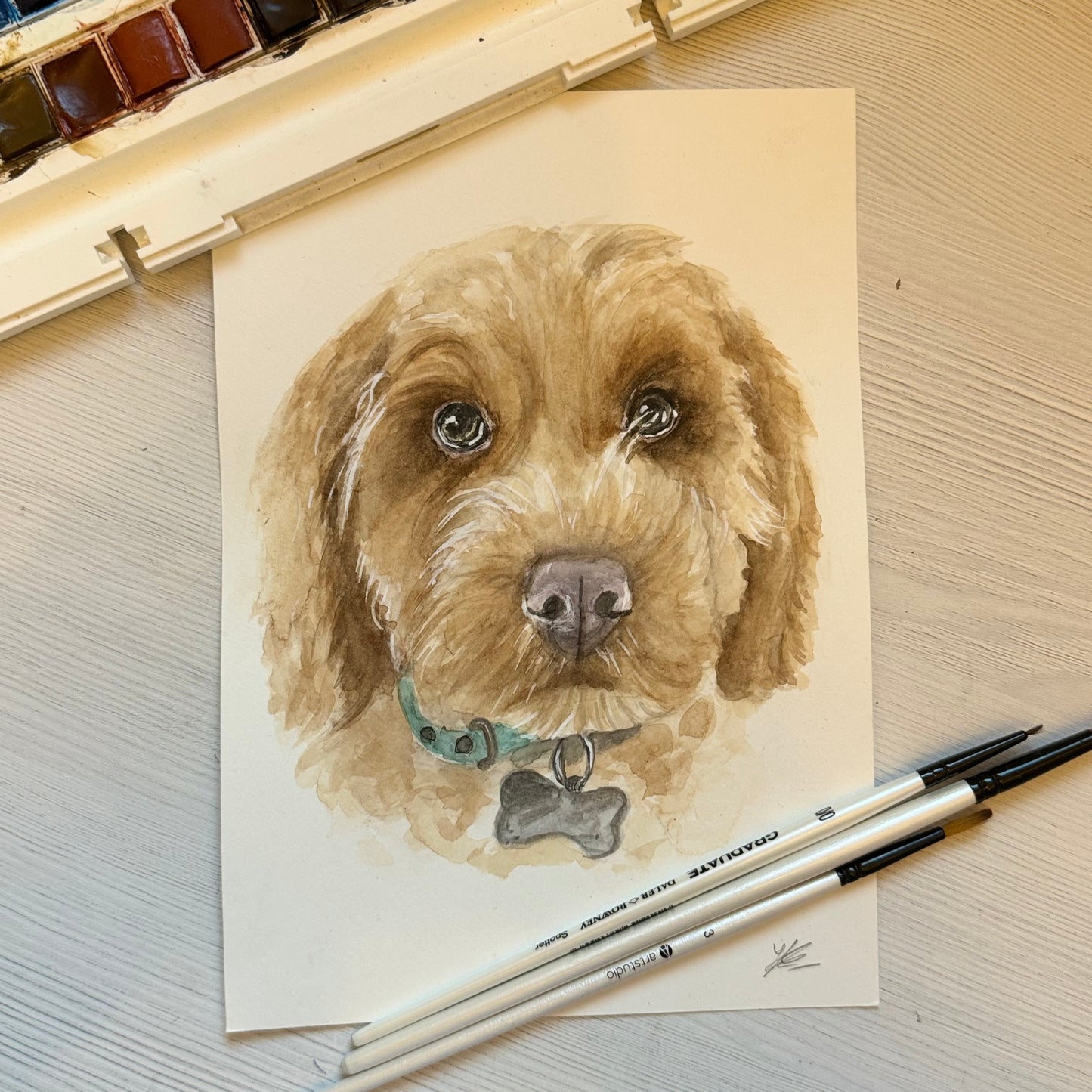 Original watercolour painting of a cockapoo dog