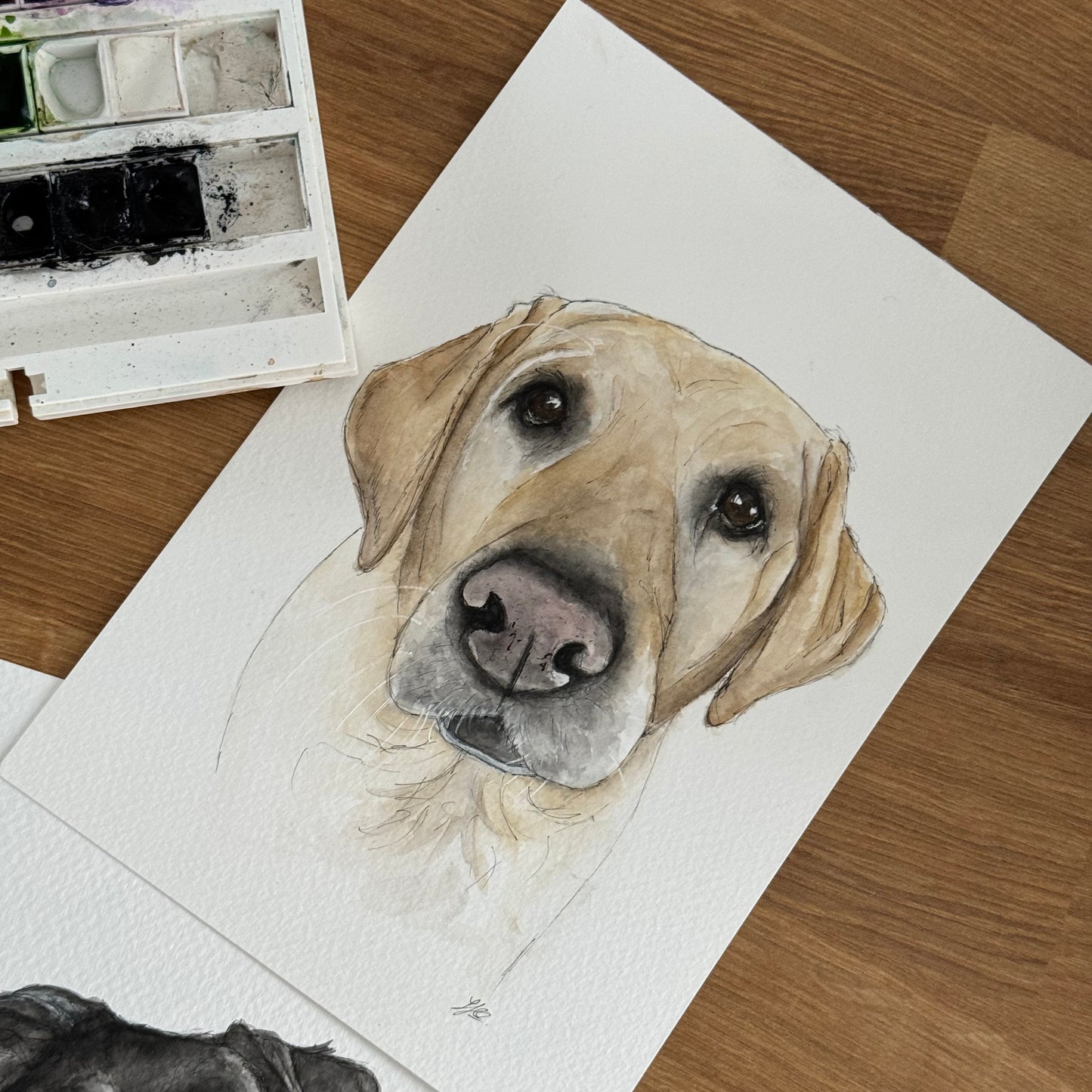 Watercolour pet portrait commission