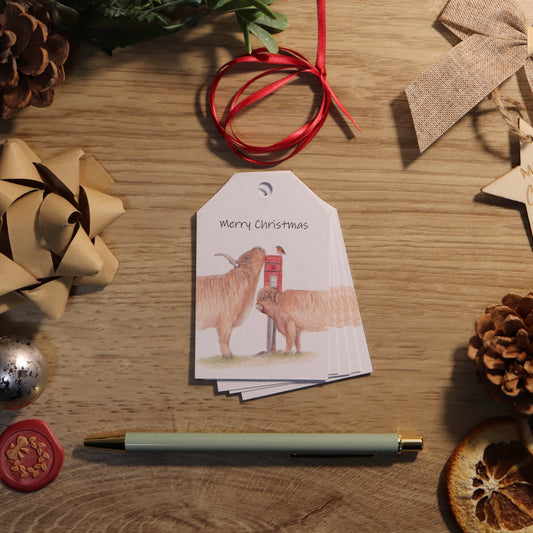 Highland Cows Gift Tag