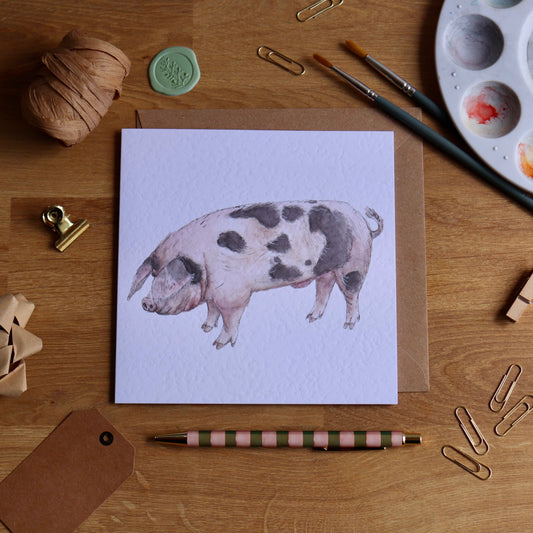 Pig card of Gloucestershire old spot breed