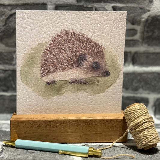 Hedgehog greetings card