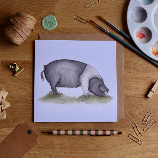Saddleback Pig Greeting Card