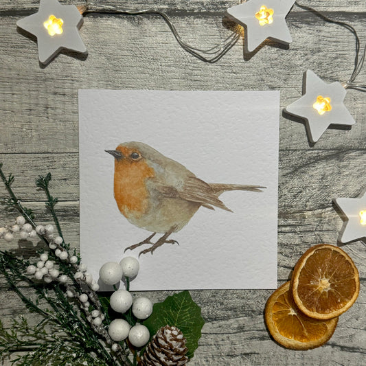 Robin Greetings Card