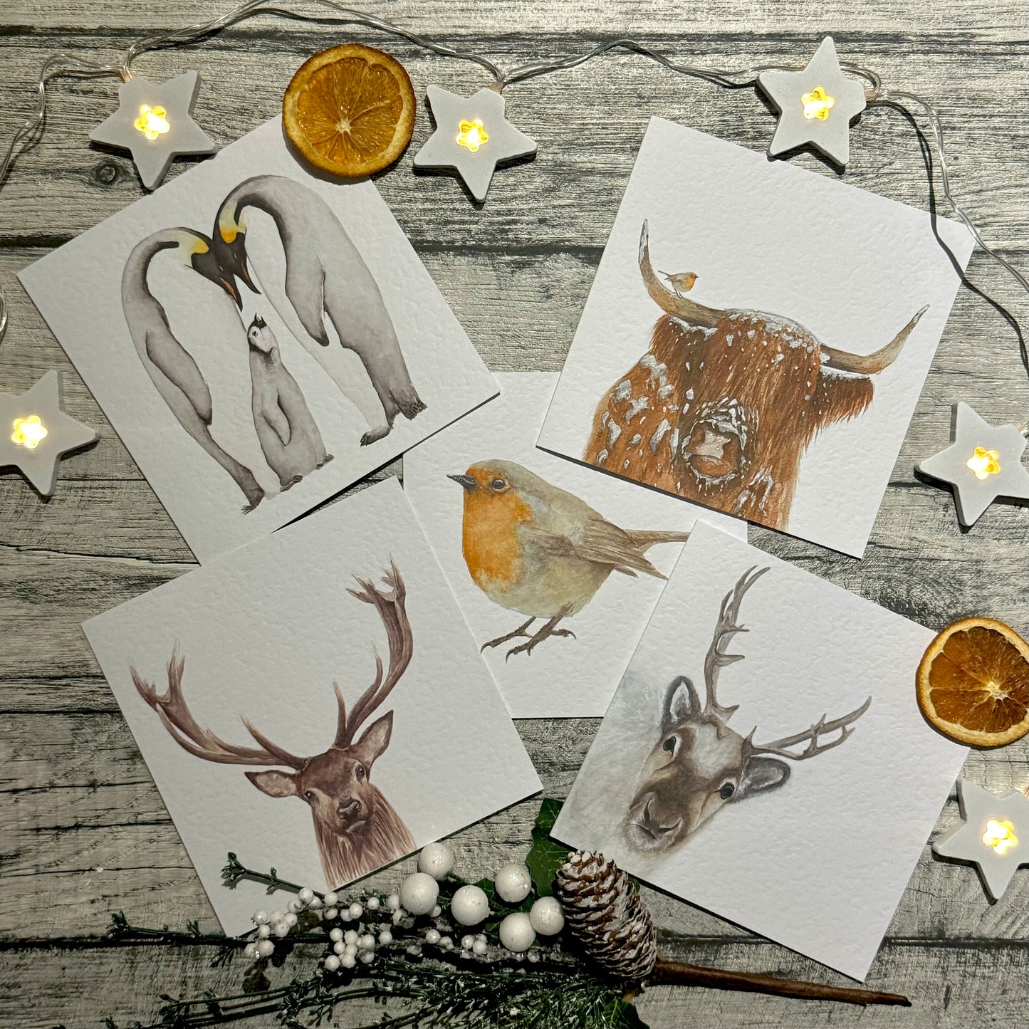 Robin Greetings Card