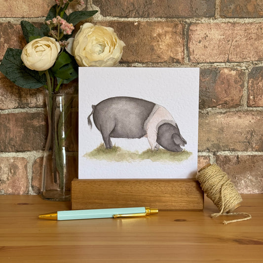 Saddleback Pig Greeting Card