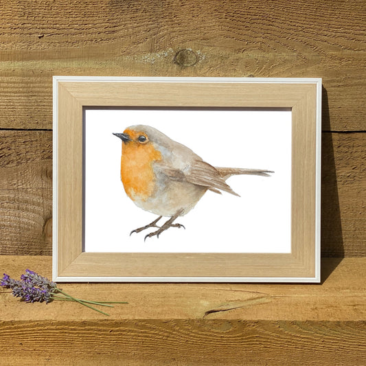 Robin Print