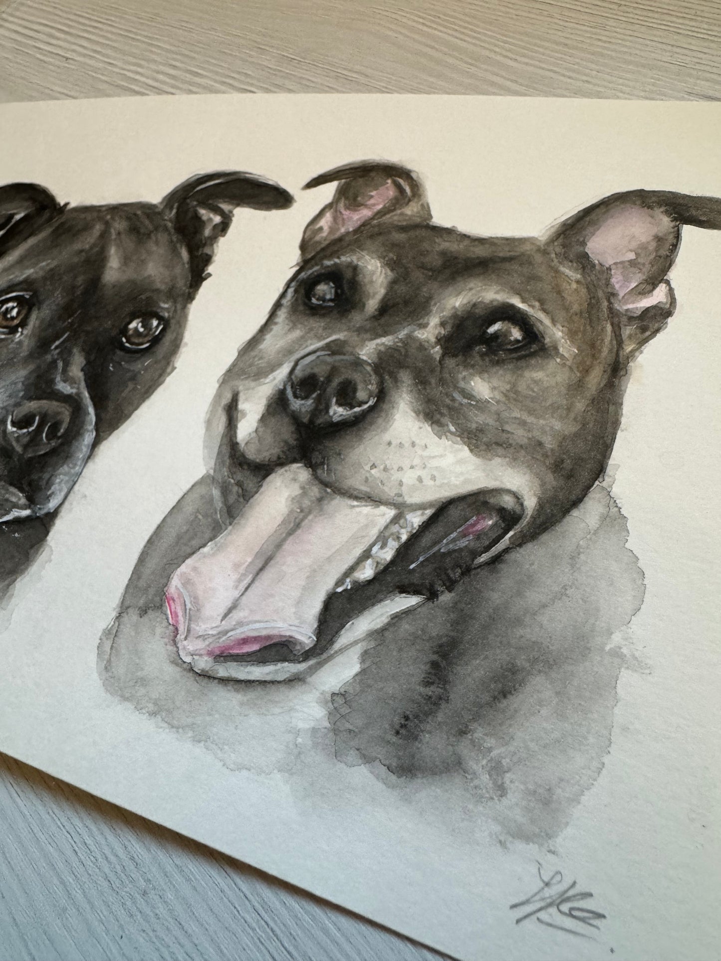 Pet Portrait