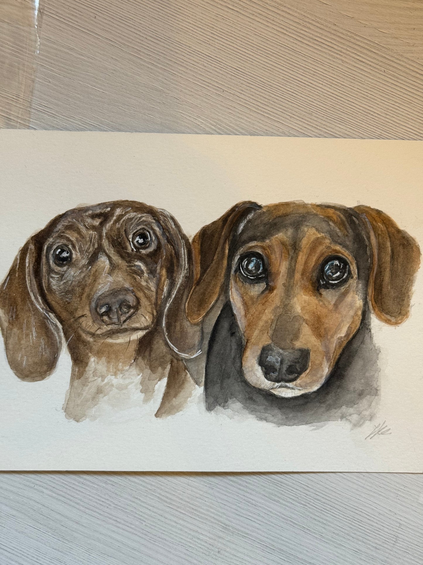 Pet Portrait
