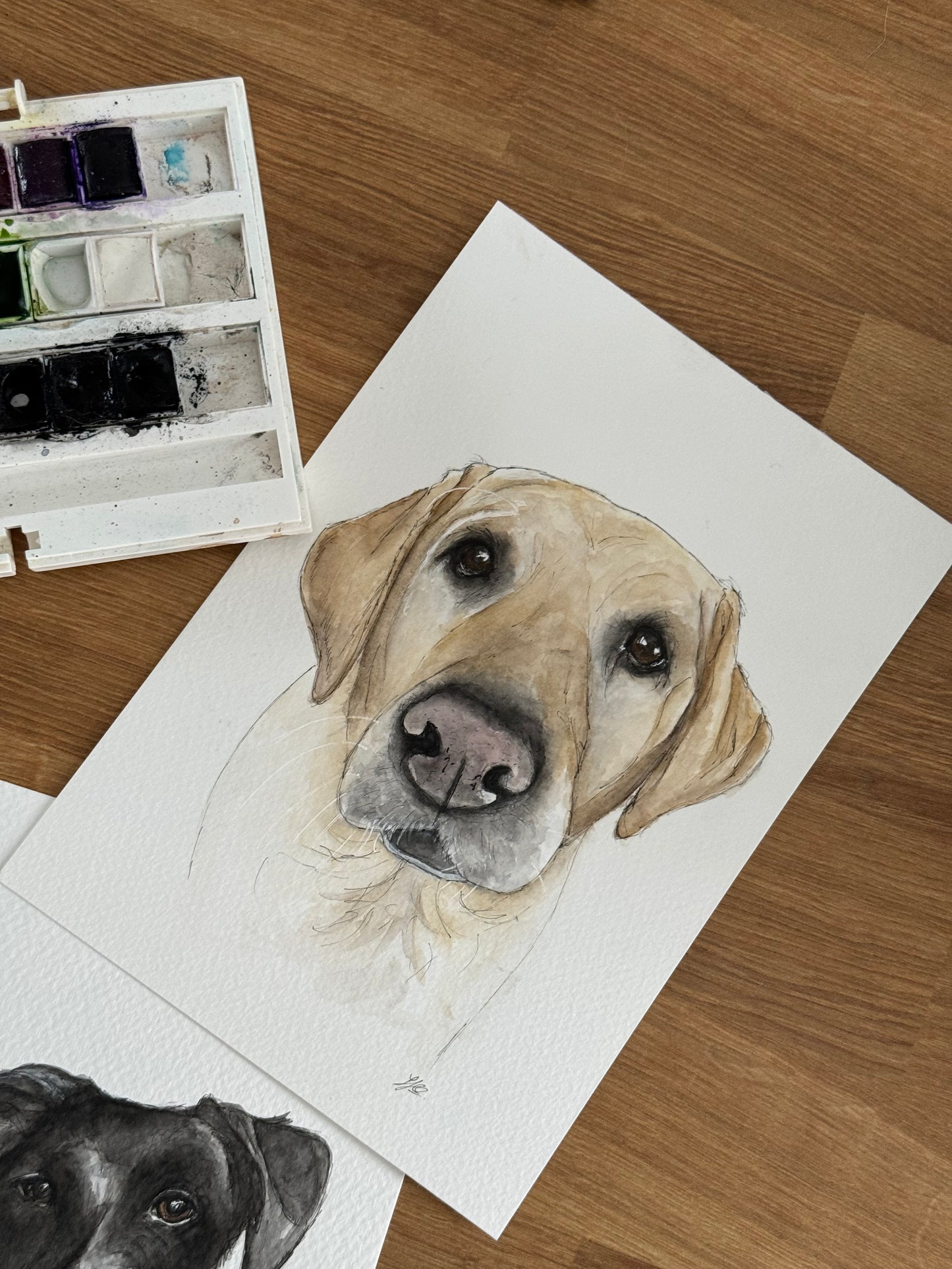 Watercolour pet portrait commission