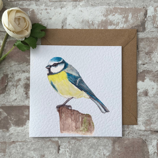 Blue tit greetings card