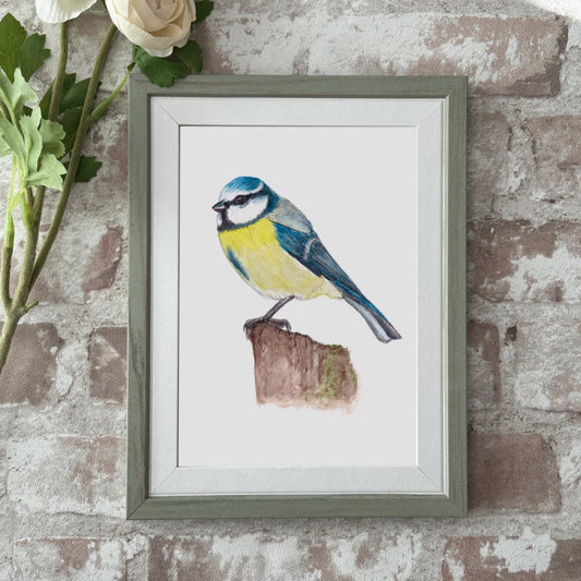 Blue tit print