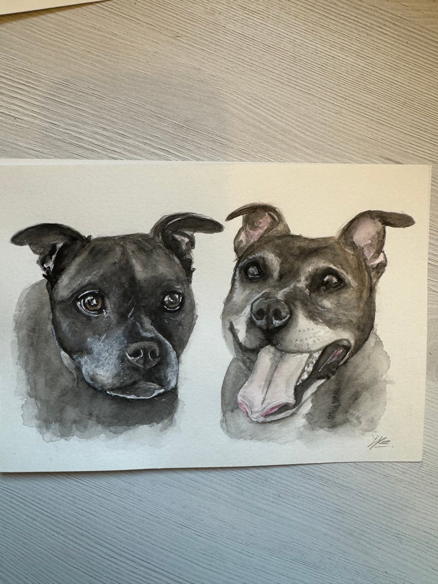 Original watercolour painting of two Staffordshire bull terriers