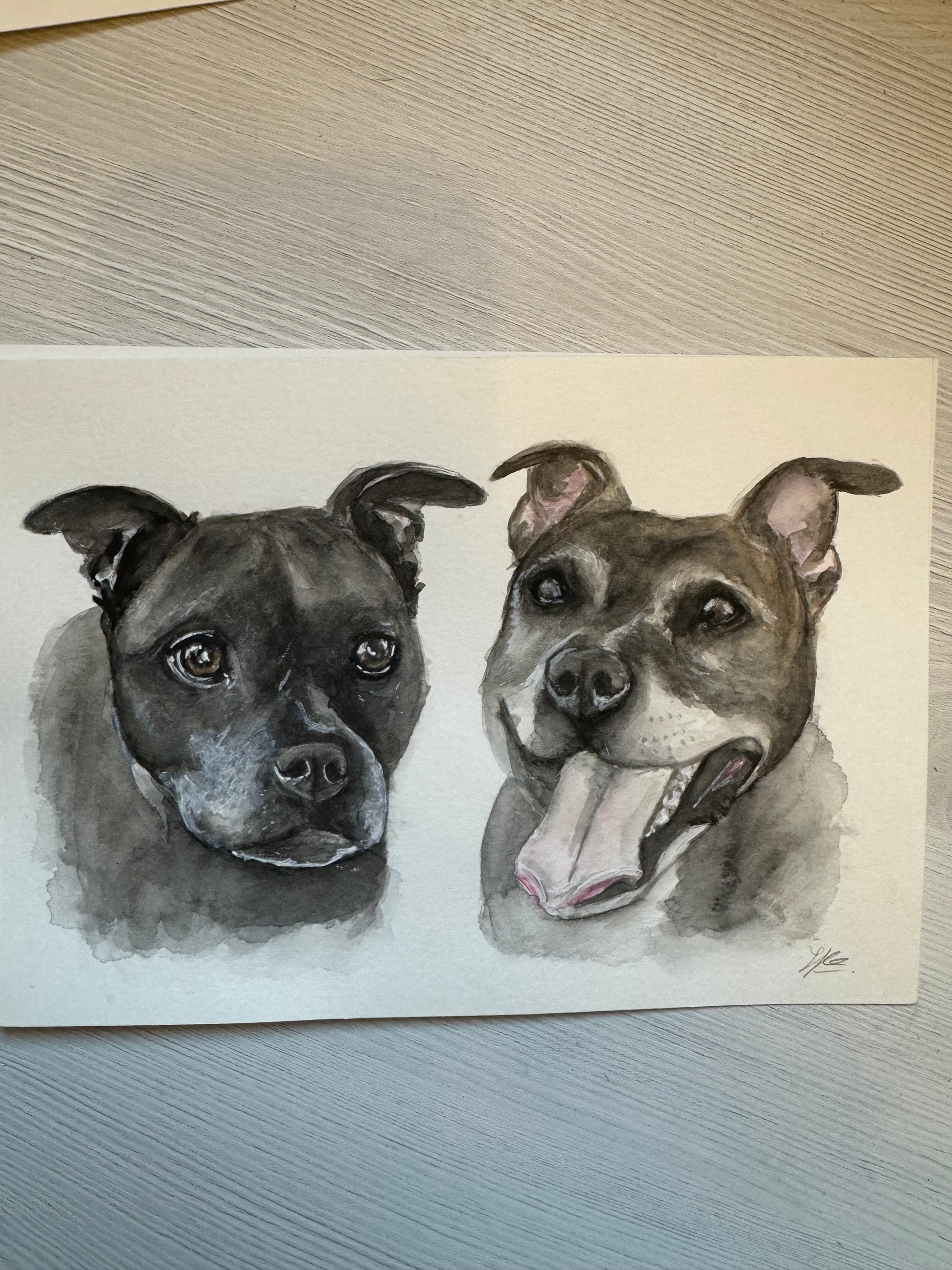 Original watercolour painting of two Staffordshire bull terriers