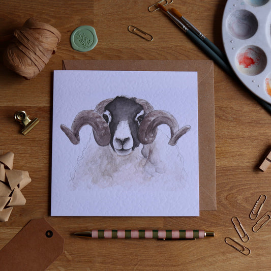 Greeting card with illustration of swaledale sheep
